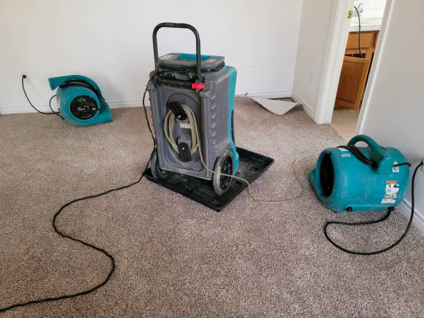 Best Water damage restoration near me  in South Wenatchee, WA