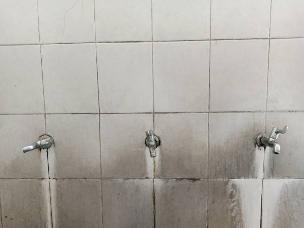 Best 24/7 water damage repair  in South Wenatchee, WA