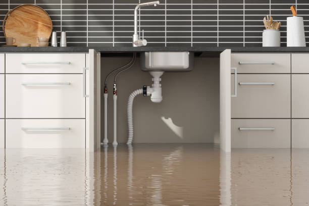 , WA Water damage restoration Company